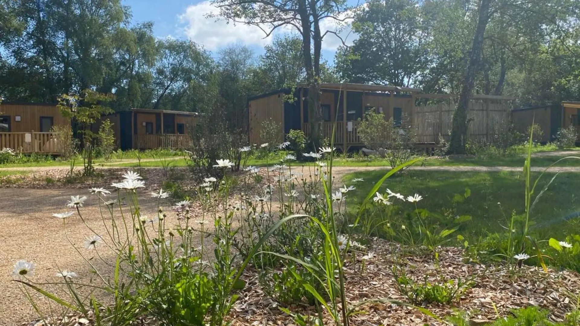 Le Domaine De Mesqueau Hotel Plougasnou 4*,